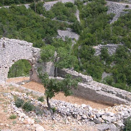 Apartment Starigrad/Senj 1 Starigrad  Zewnętrze zdjęcie